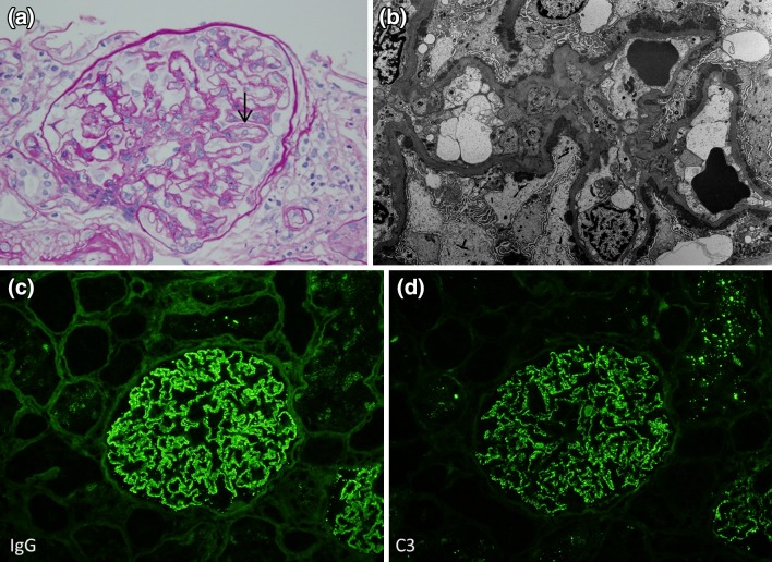 Fig. 1