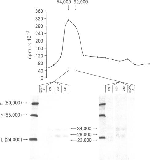 graphic file with name pnas00447-0240-b.jpg