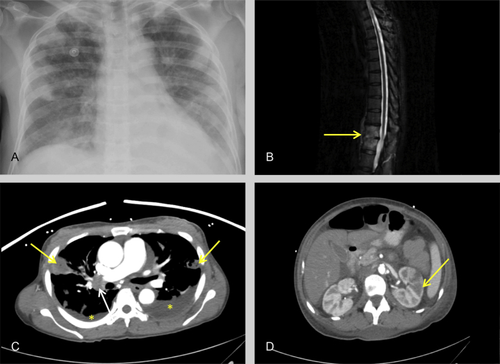 Figure 2