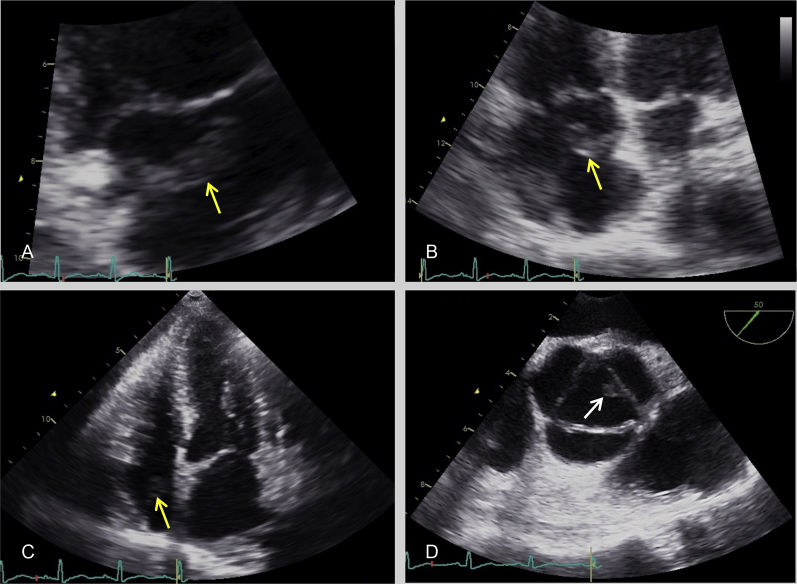 Figure 3