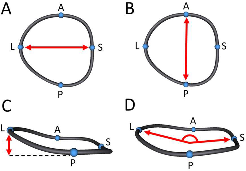 Figure 2.