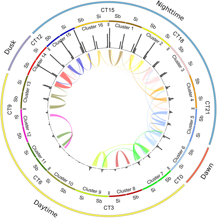 Fig. 3