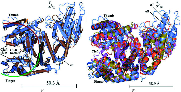 Figure 7