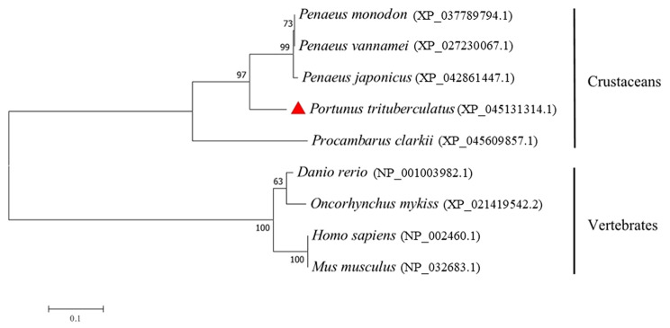 Fig. 4