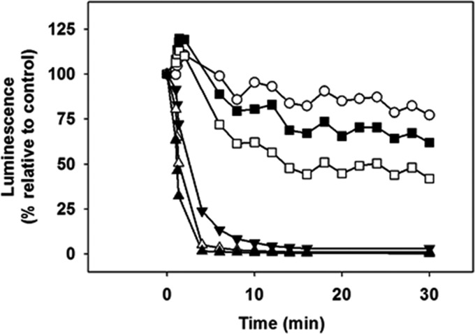 FIG 1