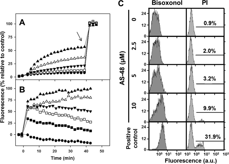 FIG 2