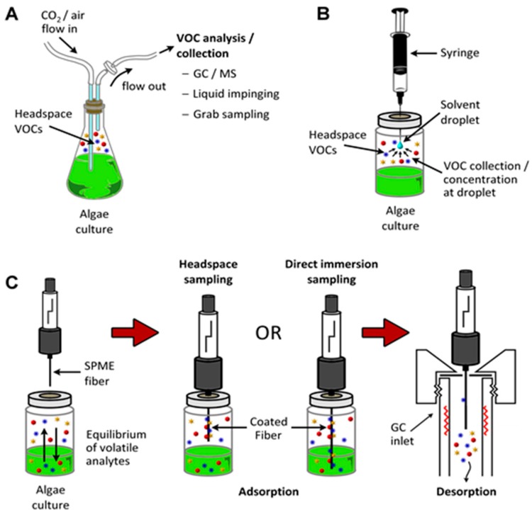 Figure 16