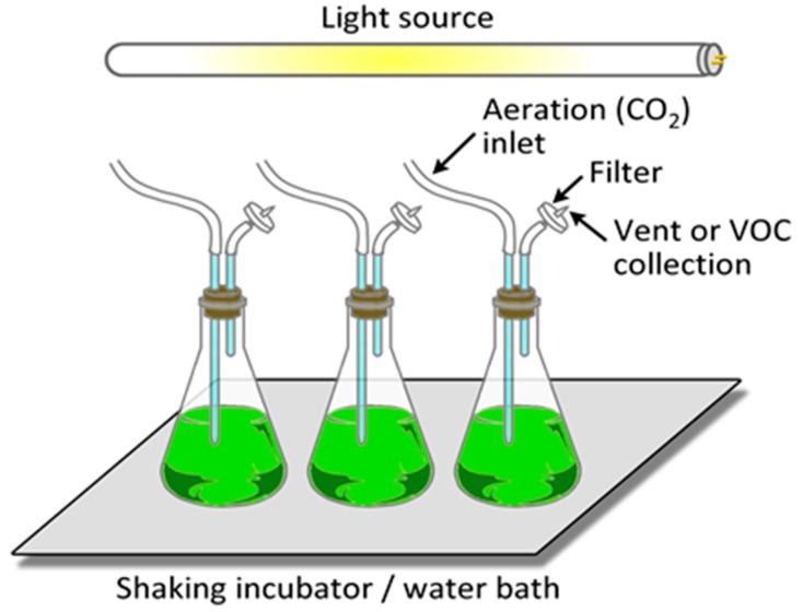 Figure 15