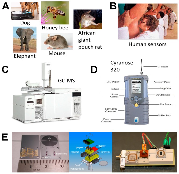 Figure 17