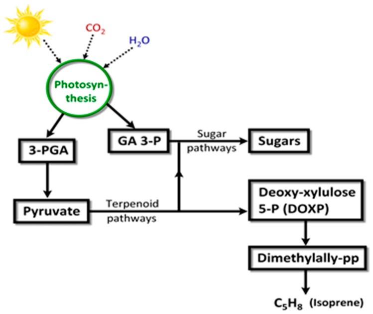 Figure 9