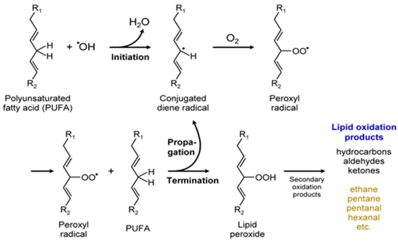 Figure 14