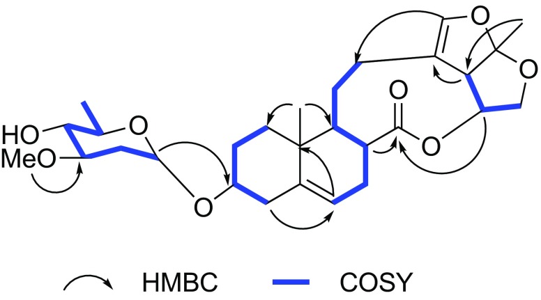 Fig. 3