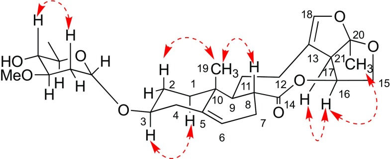 Fig. 2