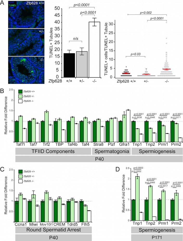 FIG 8