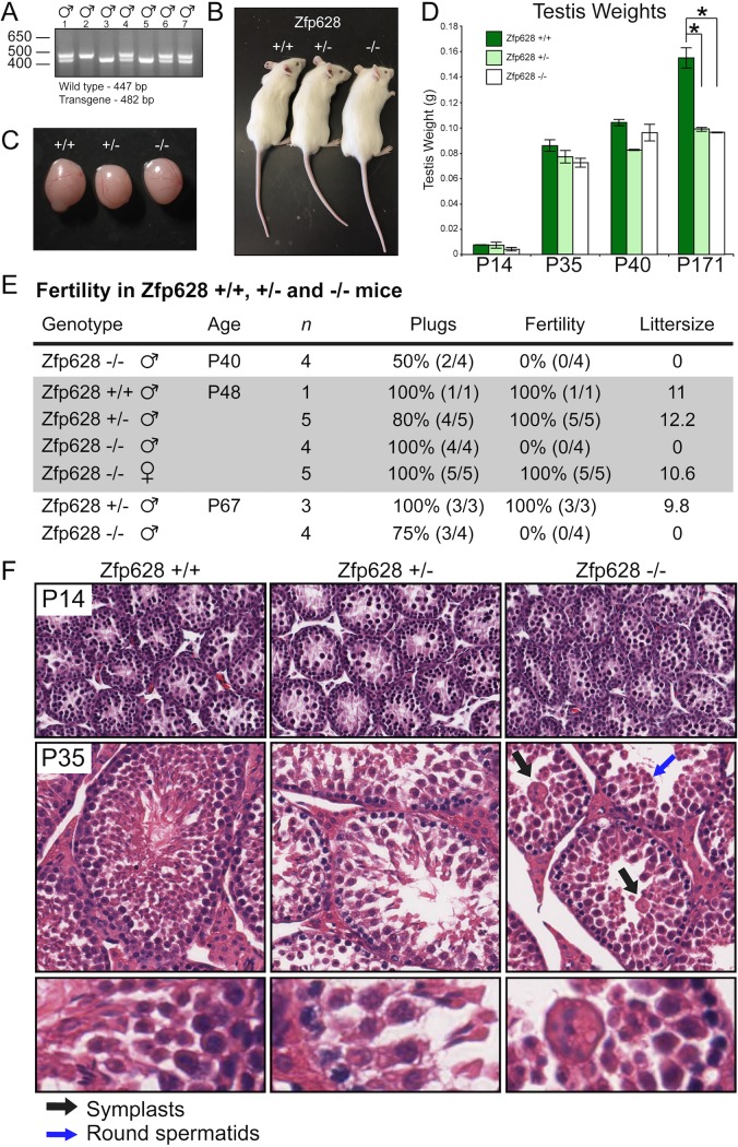 FIG 6