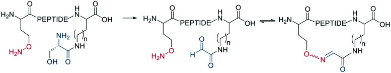 Scheme 12