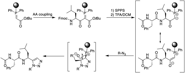 Scheme 37