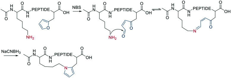 Scheme 13