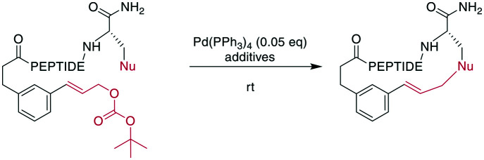 Scheme 20