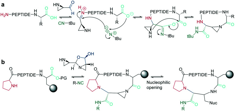 Scheme 38