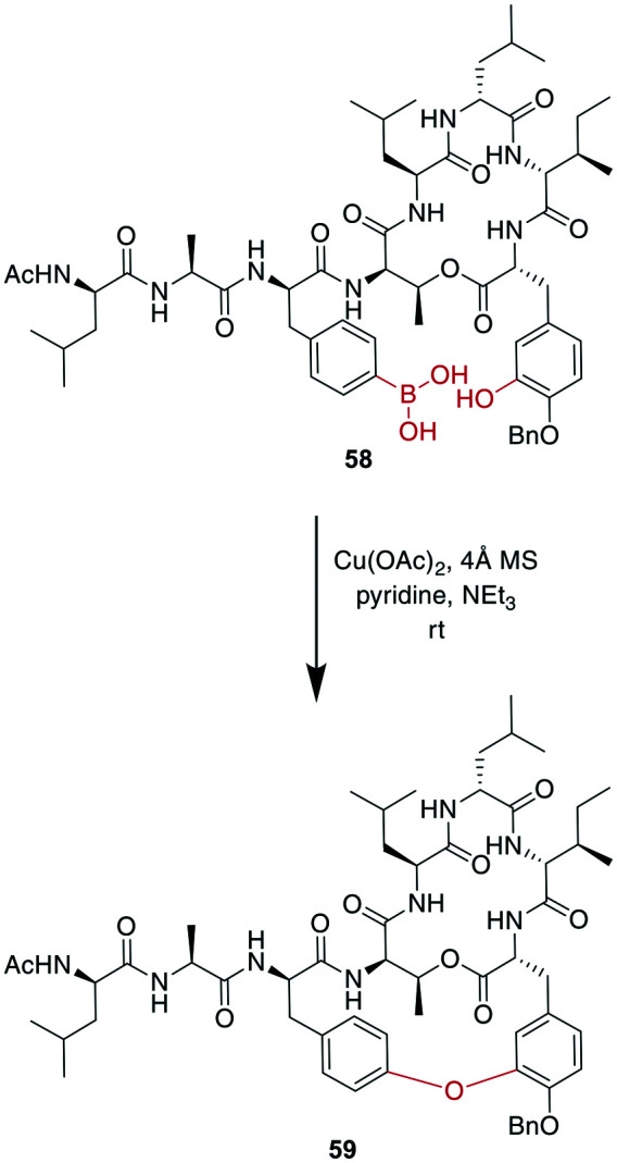 Scheme 19