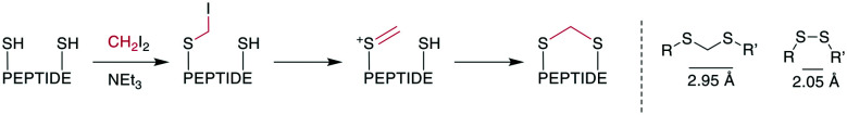 Scheme 14