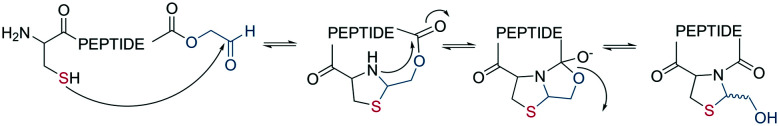 Scheme 2