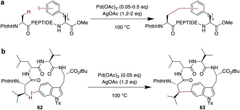 Scheme 23