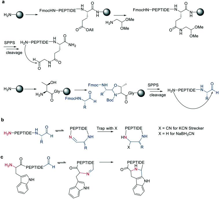 Scheme 9