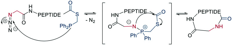 Scheme 5