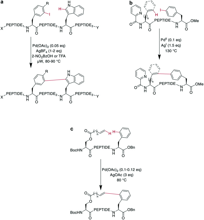 Scheme 22