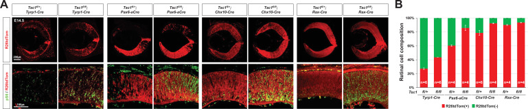 Figure 4—figure supplement 1.