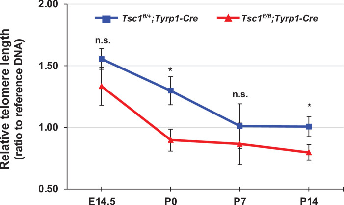 Figure 5—figure supplement 1.