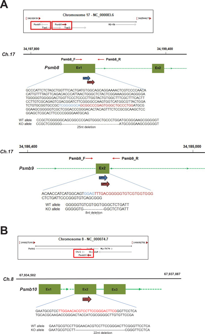 Figure 6—figure supplement 1.