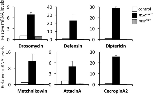 Fig. 2.