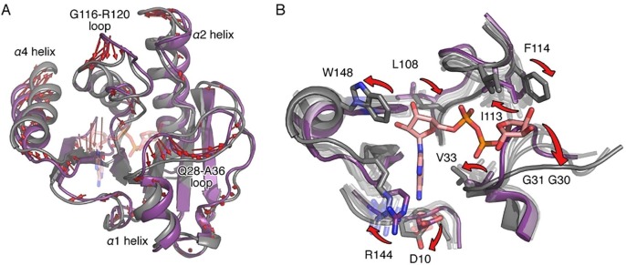 Fig. 5