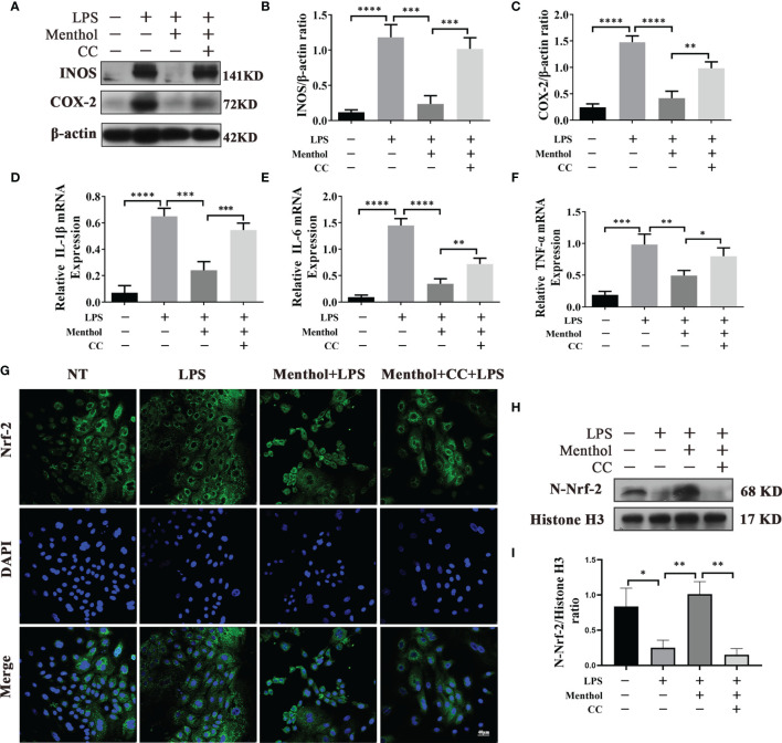 Figure 6