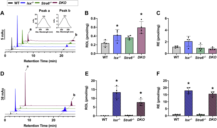 Fig. 2