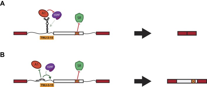 Figure 7.