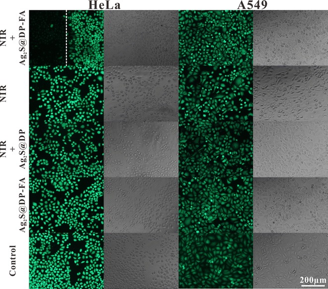 Fig. 6