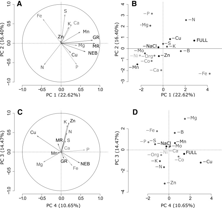 Fig. 2