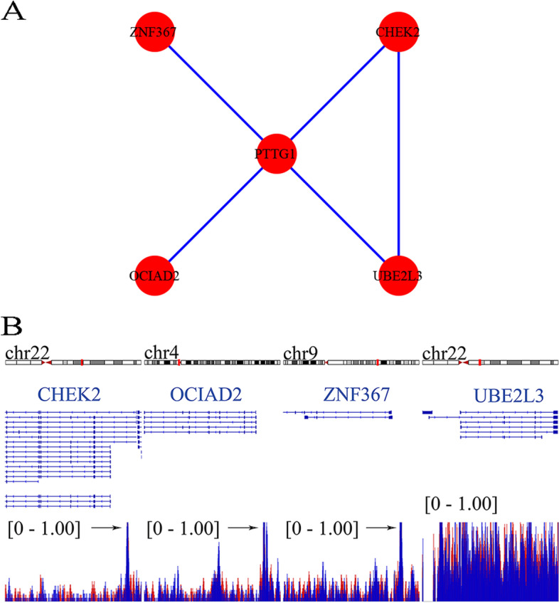 Fig. 9