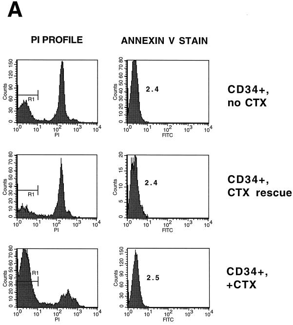 FIG. 8