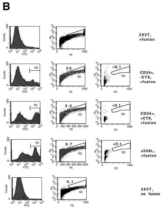 FIG. 8