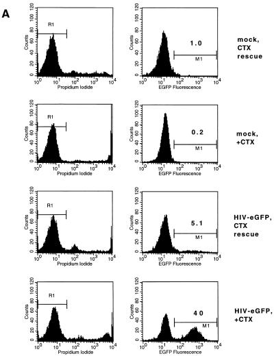 FIG. 6