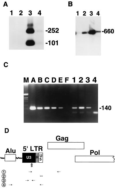 FIG. 7