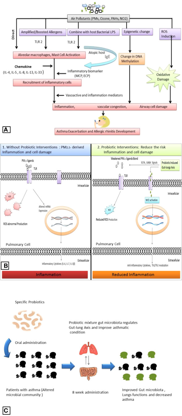 Figure 2