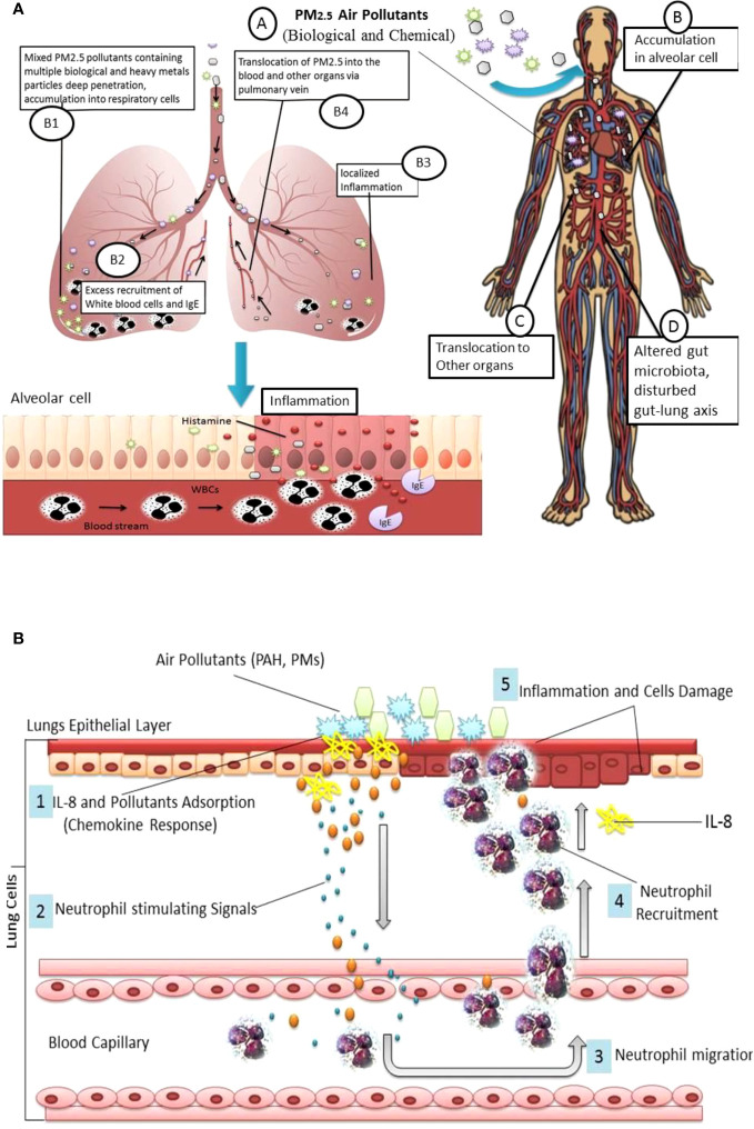 Figure 1