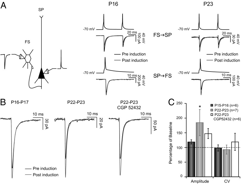 Fig. 5.