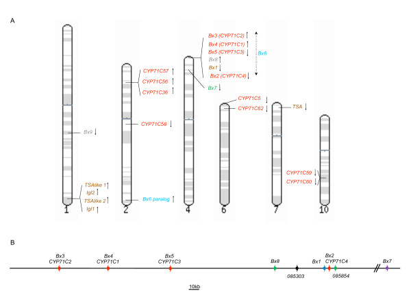 Figure 5 